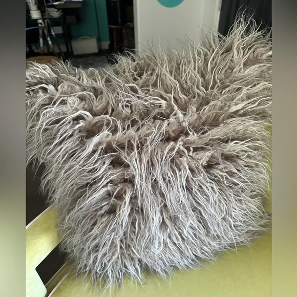 Pottery Barn faux fur pillow & insert - Picture 4 of 16